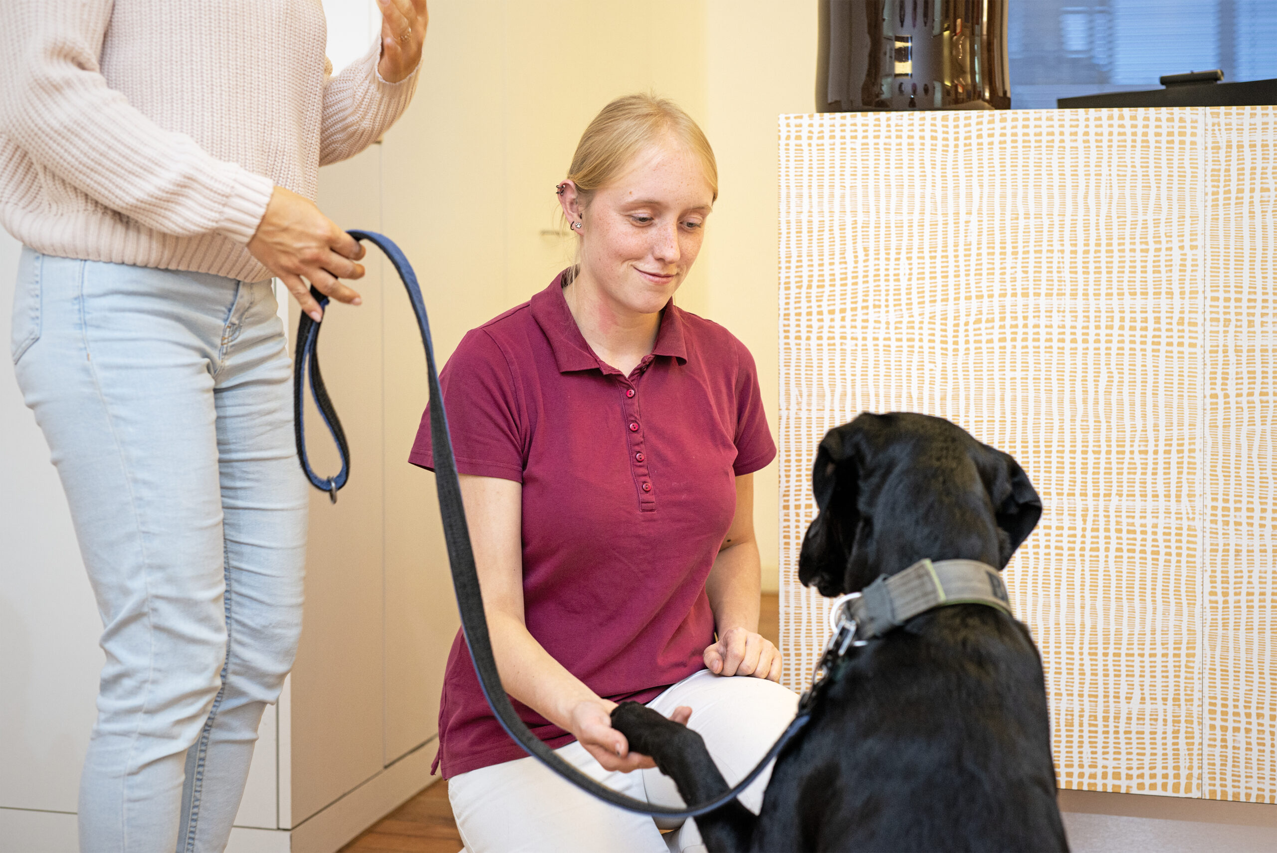 Hund_Tierarztpraxis_Betreuung